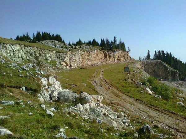 refacere-ecologica Natura nu are nevoie de noi: Cum se regenerează singură și ce ne învață despre echilibru