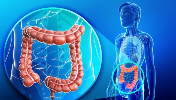 intestin-600x341 Intestinul, al doilea creier? Ce spun studiile despre legătura dintre microbiom și sănătatea mentală