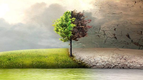 before-the-flood-1200x800-1140x641-1-600x337 Documentarul pe care toți ar trebui să-l vadă – înainte de a fi prea târziu